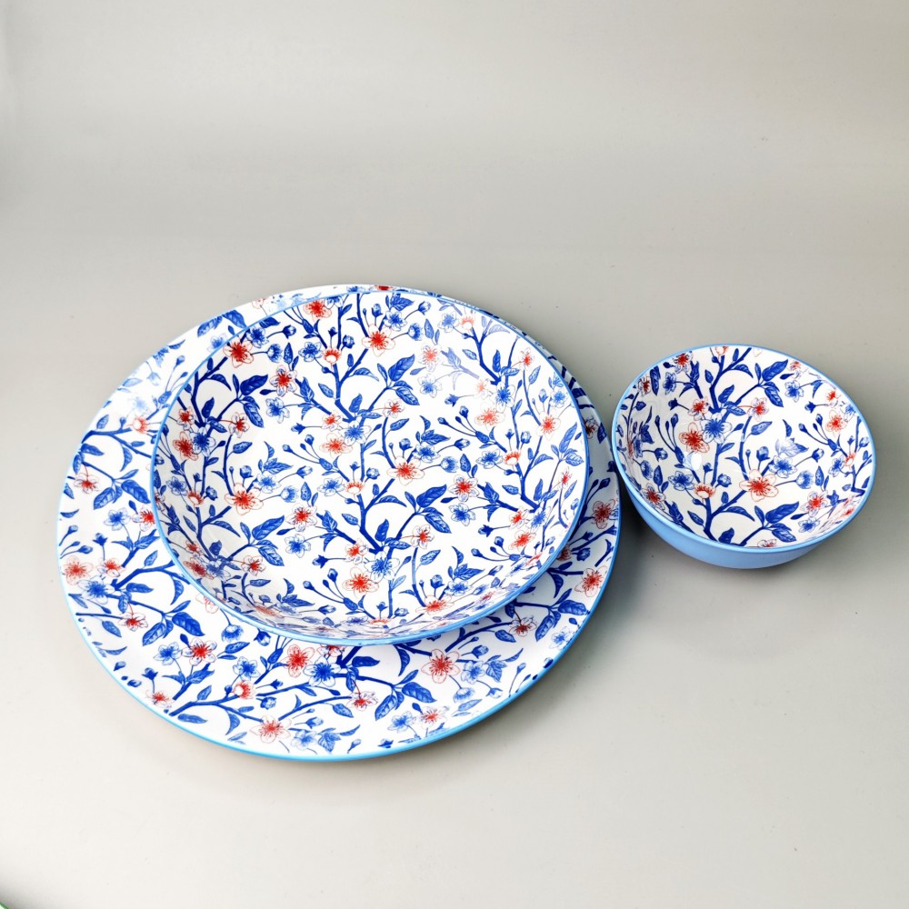 Pad-printed dinnerware set