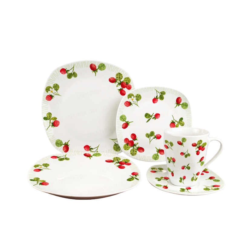 Square Decal Dinnerware Set