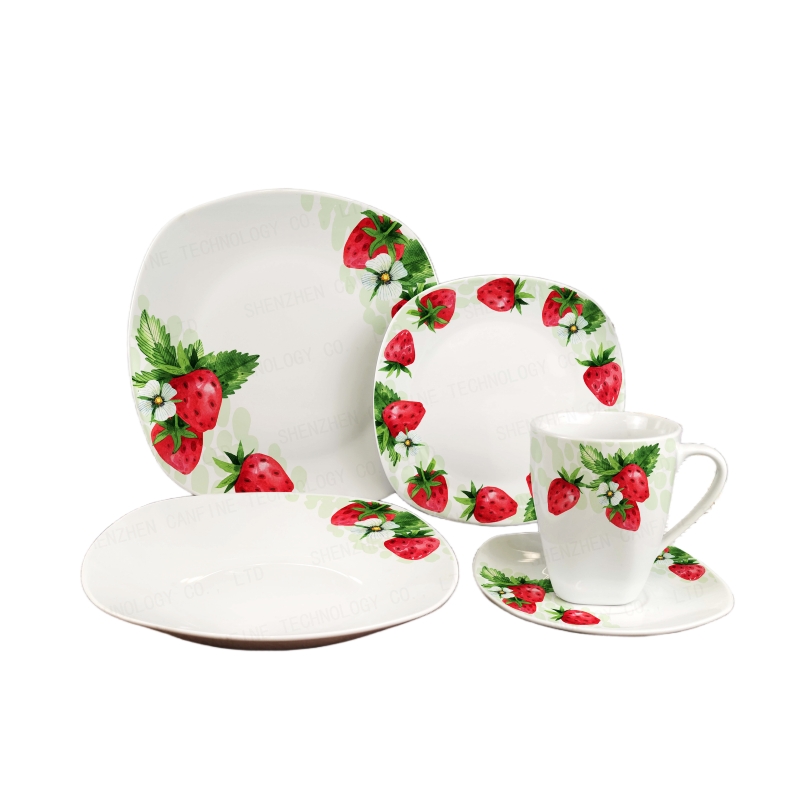 Square Decal Dinnerware Set