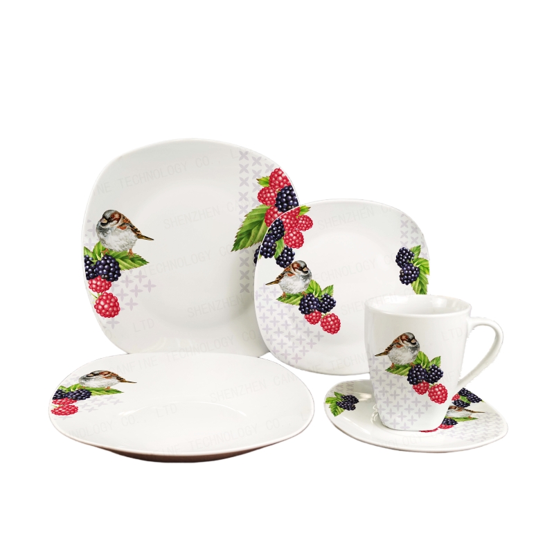 Square Decal Dinnerware Set